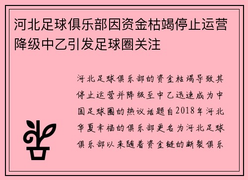 河北足球俱乐部因资金枯竭停止运营降级中乙引发足球圈关注